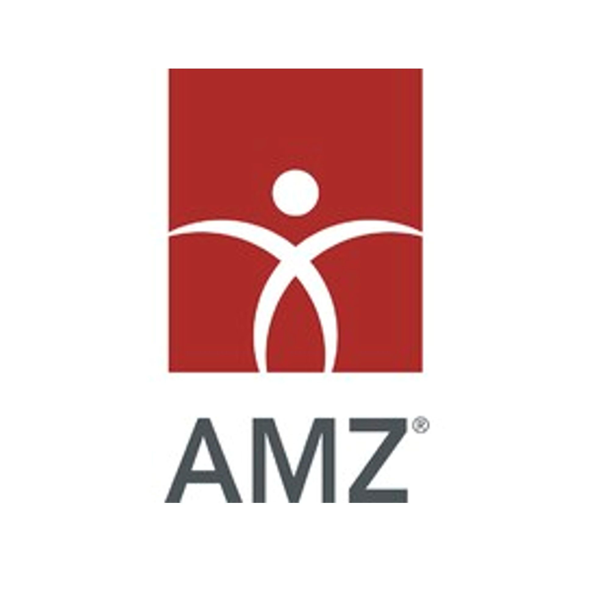 AMZ Mögling